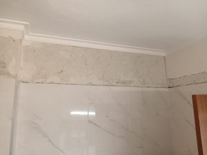 oplus_0